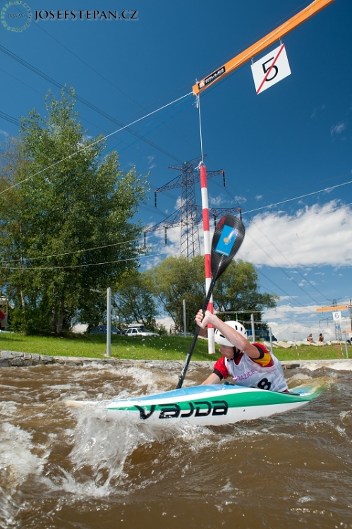 Wave festival