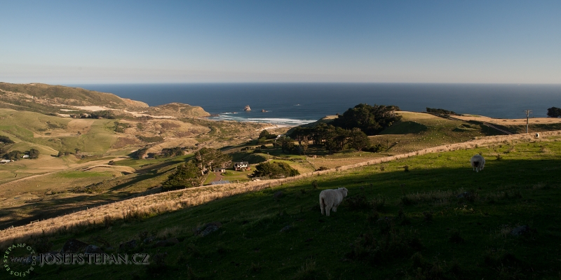 DSC_6427