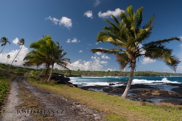 DSC_9321-2